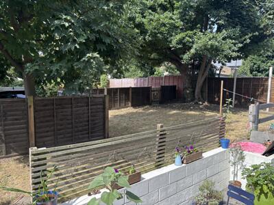 Picture 12